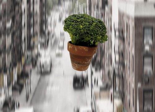 Responsabilità Civile Extracontrattuale Studio Legale Pollavini